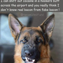 Just too Funny