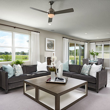 Moonstone model home in Florida