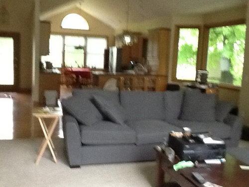 Oak trim throughout, dark grey sofa... What color for carpet and pain