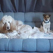 Desiree Lerro's photo