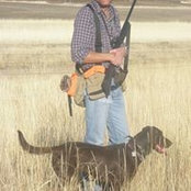 Rodney Hansens billede