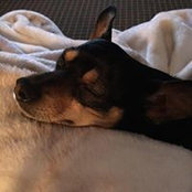Jennifer Marriott's photo