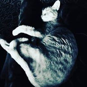 Amanda Gill's photo