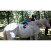 Vicki Hooker's photo