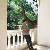 PelePele Pele's photo
