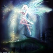 Trish Diedrich's photo