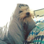 Elle P's photo