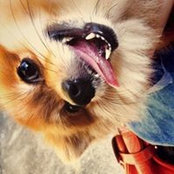Iwuen Wang's photo