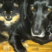 Sharon Gordon Powell's photo
