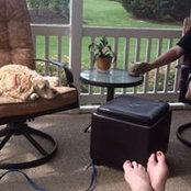 Nancy Houck-Kase's photo