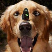 Lorraine Green's photo