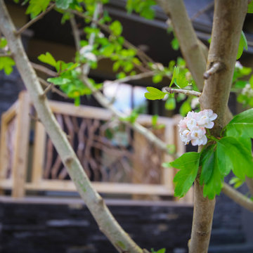 Willow Branch Arbor Feature and Porch