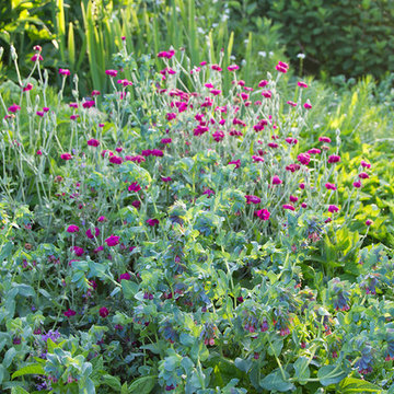 Alex Smith Garden Design, Ltd. Office