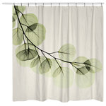 Laural Home - Eucalyptus Shower Curtain - This beautiful, serene image of a eucalyptus branch is the perfect addition to any contemporary bathroom decor. The art was created with a special technique using an x-ray machine. This shower curtain is digitally printed to create crisp, vibrant colors and images. 12 button holes at the top for shower hook placement.