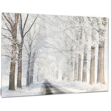 "Road Through Frosted Forest" Landscape Photo Glossy Metal Wall Art, 28"x12"