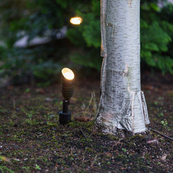 Spotlights - Landscape Lighting