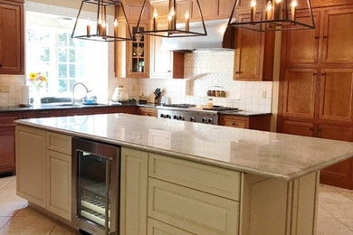 Kitchen - mid-sized traditional single-wall kitchen idea in Boston with raised-panel cabinets, beige cabinets, granite countertops, stainless steel appliances, an island and multicolored countertops