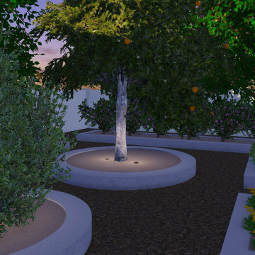 1 Acre in Gilbert & A Complete Landscape Transformation - Lush Outdoor Living