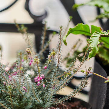 Petit balcon Zen
