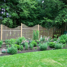 Backyard Ideas
