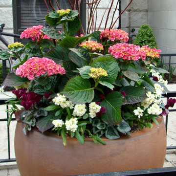 Spring Planters