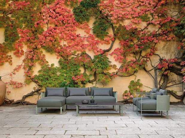 Tendencias en color 2020: las paletas de las pr&oacute;ximas temporadas