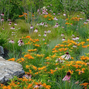 Marginal Way Garden