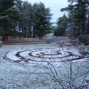 Lycopene Labyrinth