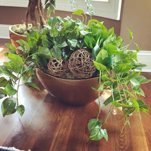 Plants