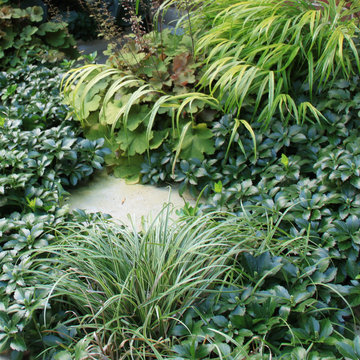Neighborhood Garden