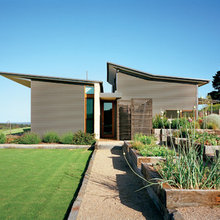 Veggie Garden