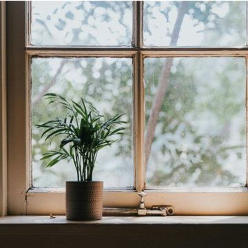 Artificial Plants: A Stylish and Low-Maintenance Solution for Modern Spaces