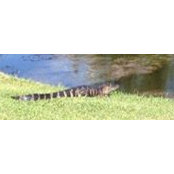 Vicki Franks's photo