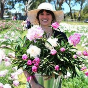 Foto von Lisa Wilkinson