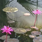 Linda W's photo