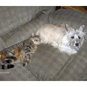 Myra Wright's photo