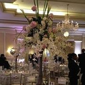 Yasmin Yaz's photo