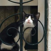 Gianna Palmas's photo