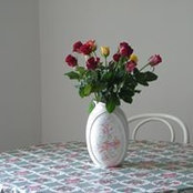 Roberto Vollero's photo
