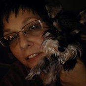 Debbie Davis Mitchellさんの写真