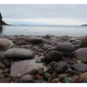 Kim Hicks's photo