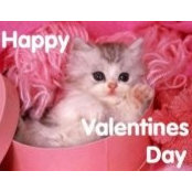 Gina Modugno's photo