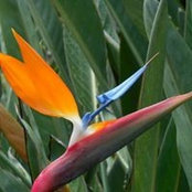 Sybille Matthews's photo