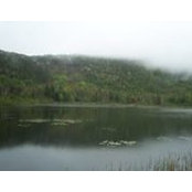 Mia Smith's photo