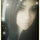roxanne_chavez44