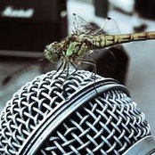 Gregory Roucayrol's photo
