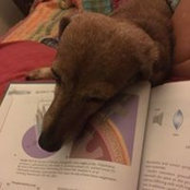 Cindy Pearce's photo
