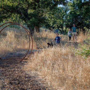 Natural Hillside Connection and Play