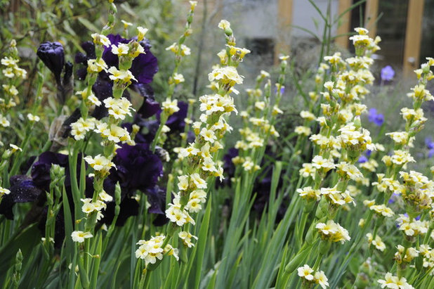 Contemporary Landscape by Arthur Road Landscapes