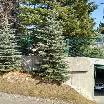 19 Chatham Dr. N.W. CALGARY AB